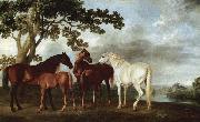 George Stubbs Stuten und Fohlen in einer Flublandschaft oil painting on canvas